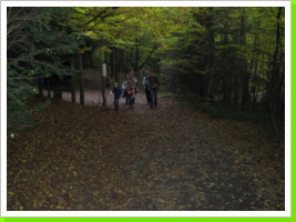 Im Wald
