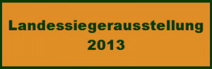 Bilder LSA 2013