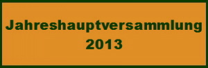 JHV 2013